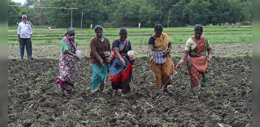 Representative image. Credits: AFP