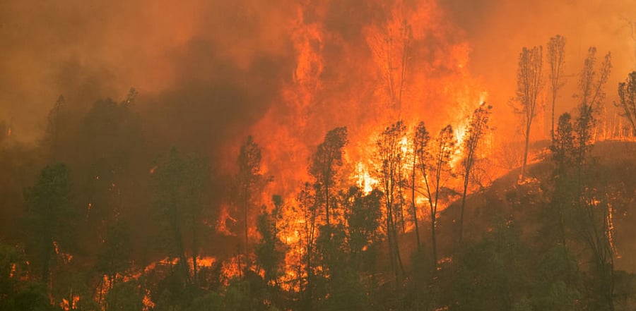 LNU Lightning Complex Fire engulfs a ridge line near Aetna Springs, California. Credit: Reuters Photo