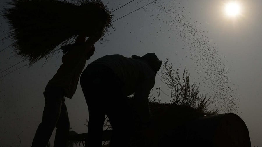 Representative image. Credit: AFP/file