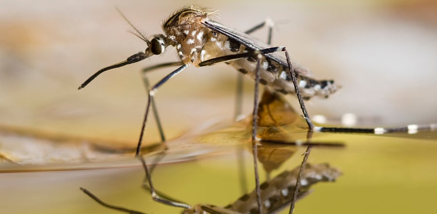 Representative image: iStock Photov