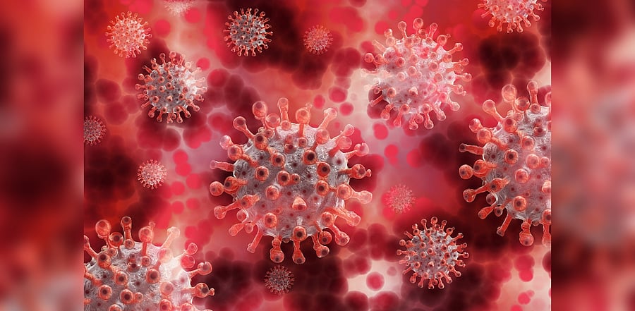 Representative image/Credit: Pixabay Image