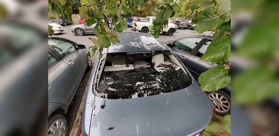 Credit: Twitter/@Irelandcricket