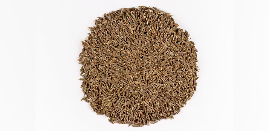 Credit: https://commons.wikimedia.org/ Sanjay Acharya