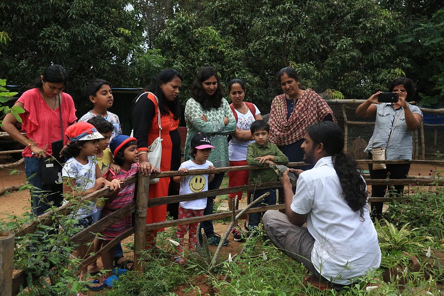 Prani - The Pet Sanctuary hasn't had any visitors since February.