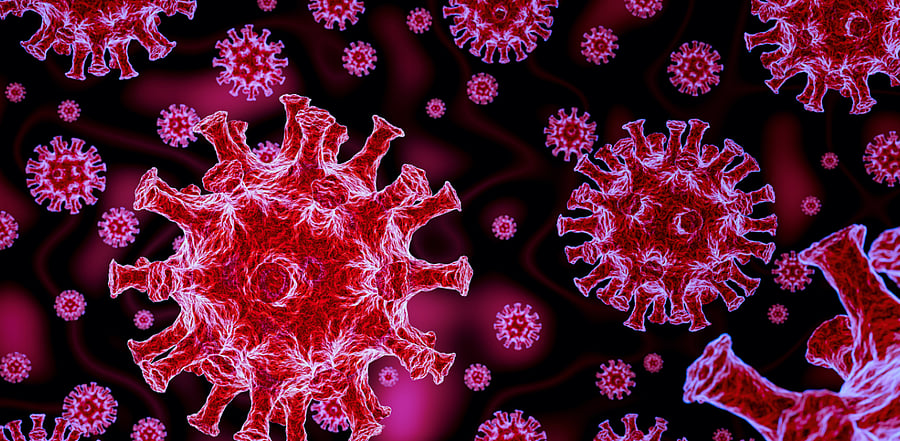 Representative Image. Credit: iStock Photo