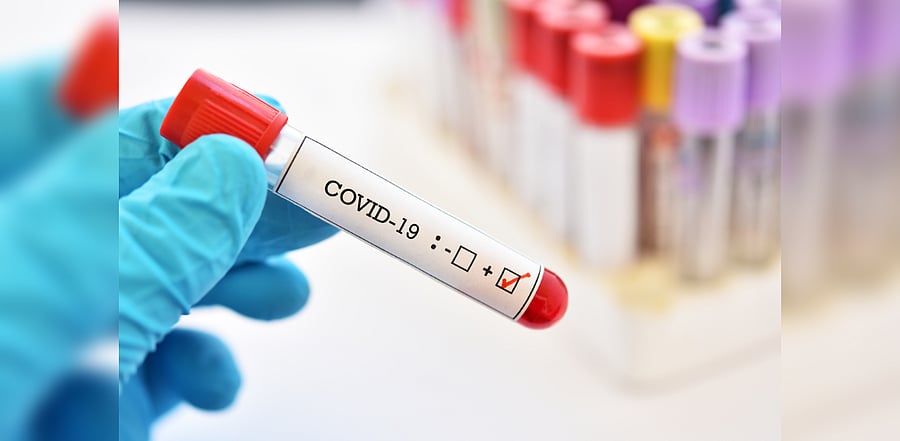 Image for representation. Credit: iStock