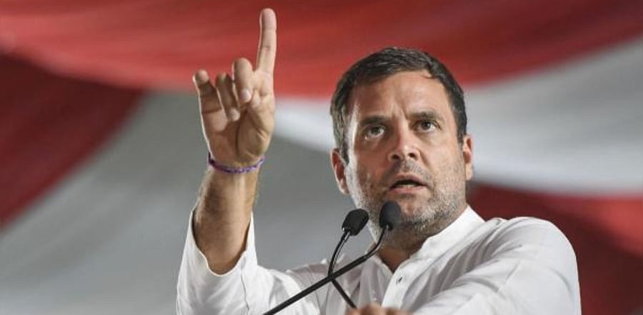 Rahul Gandhi. Credit: PTI