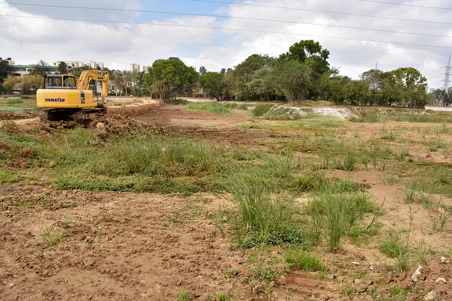 Puttenahalli Lake has been gazetted as a bird conservation reserve. DH PHOTO/B K JANARDHAN