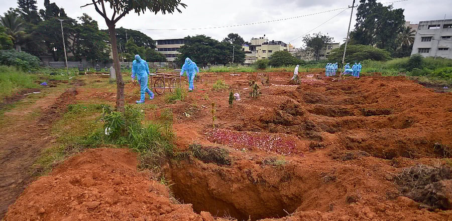 Representative image. Credit: DH Photo