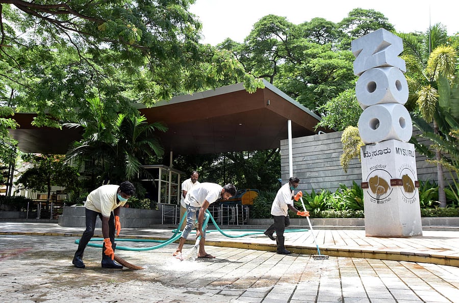 Employees clean the premises of Sri Chamarajendra Zoological Gardens in Mysuru. dh photo