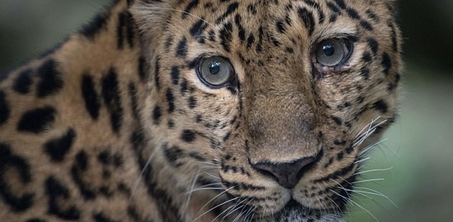 Representative Image. Credit: Getty Images