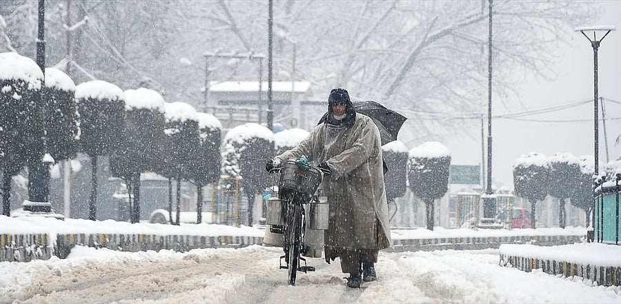For a long time, the BJP government had blamed the special status of J&K under Articles 370 and 35A as a reason for investors shying away from the UT. Credit: AFP