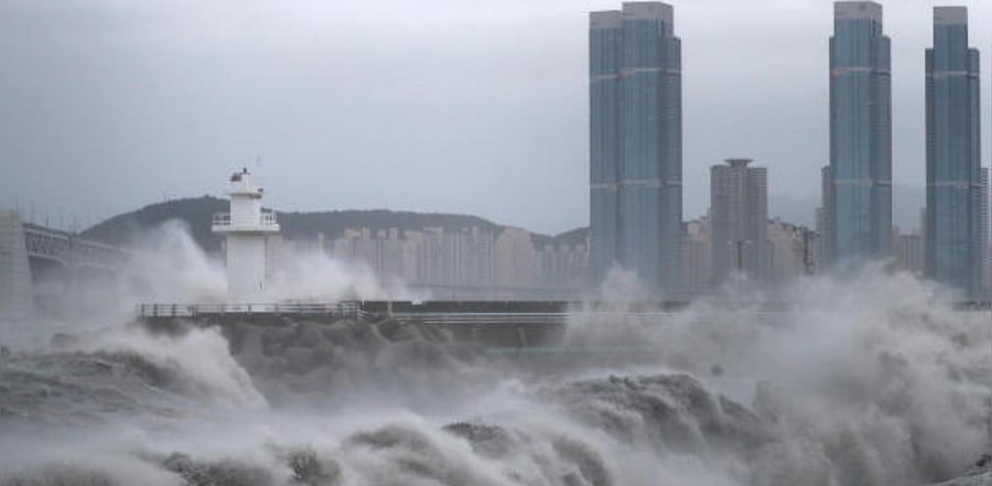 High waves caused by Typhoon Haishen crash at seawall in Busan, South Korea. Credit: Reuters Photo