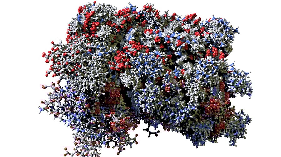A molecule of interferon. Credit: iStock