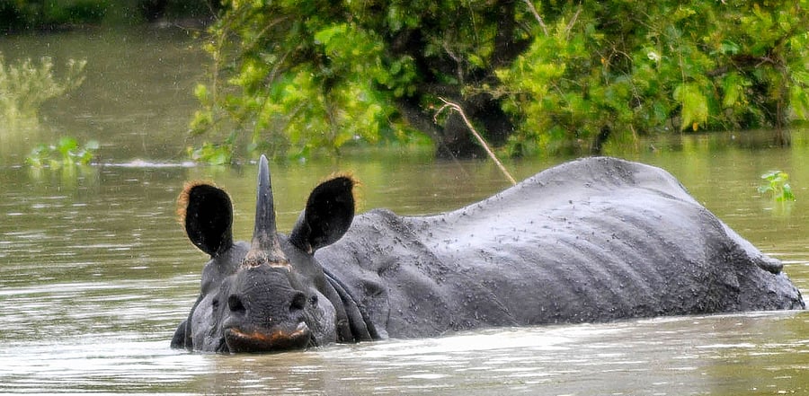 Representative image. Credit: PTI