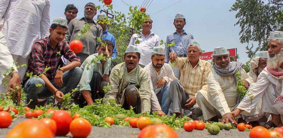 Representative Image. Credit: PTI Photo