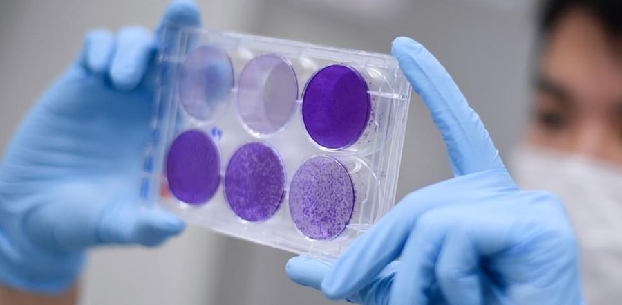 A researcher works on virus replication in order to develop a vaccine against the coronavirus. Credit: AFP