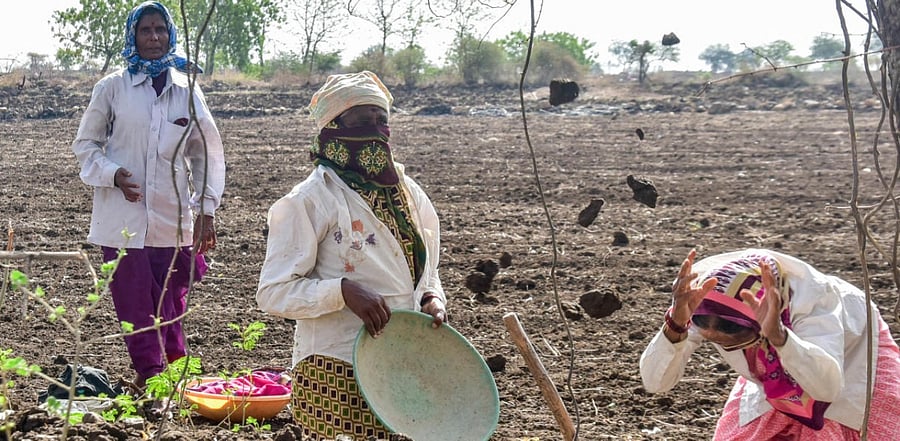 People are working under MNREGA scheme at Fartabad Gram Panchayat limits in Kalaburgi District. Credit: DH Photo