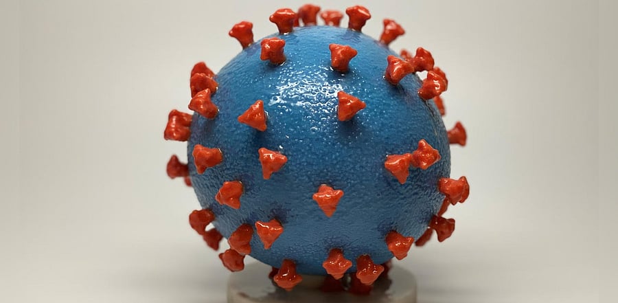 An undated photo shows a 3-D print of a SARS-CoV-2 particle, also known as novel coronavirus, the virus that causes COVID-19. Credit: NIH/Handout via Reuters