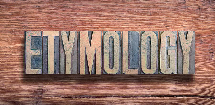 Representative image. Credit: iStockPhoto