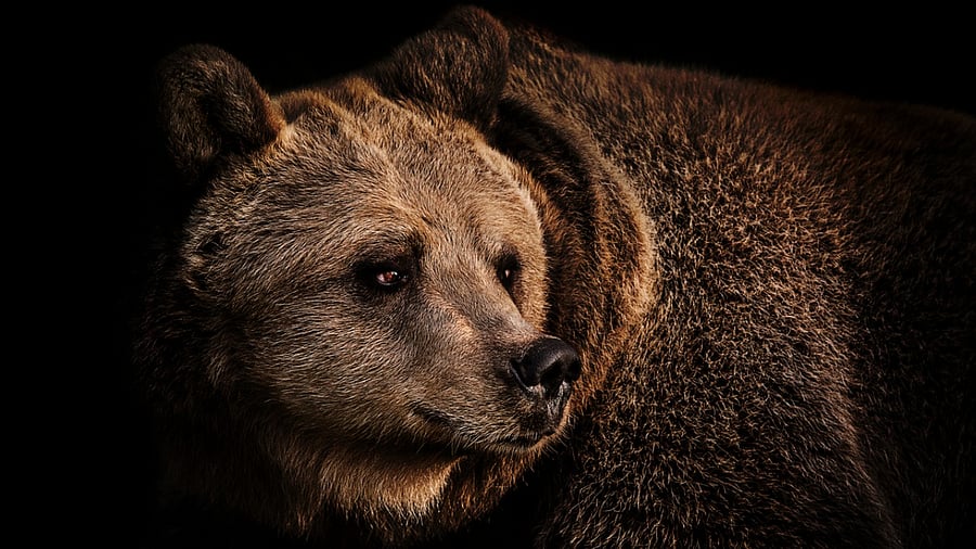 Representative image. Credit: iStock