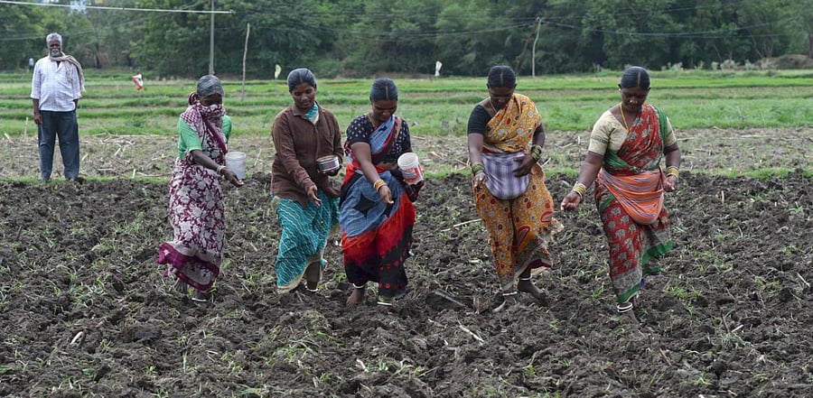 Representative Image. Credit: AFP Photo