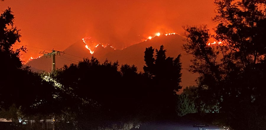 US President Donald Trump blames poor forest management - mainly a failure to cull overgrown forests - for the increasing number and intensity of fires. Credit: Reuters Photo