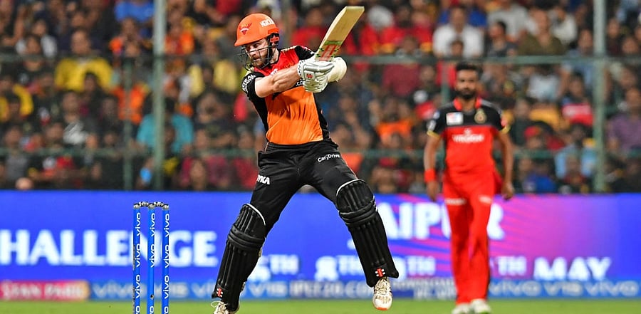 Sunrisers Hyderabad's Kane Williamson. Credit: File Photo