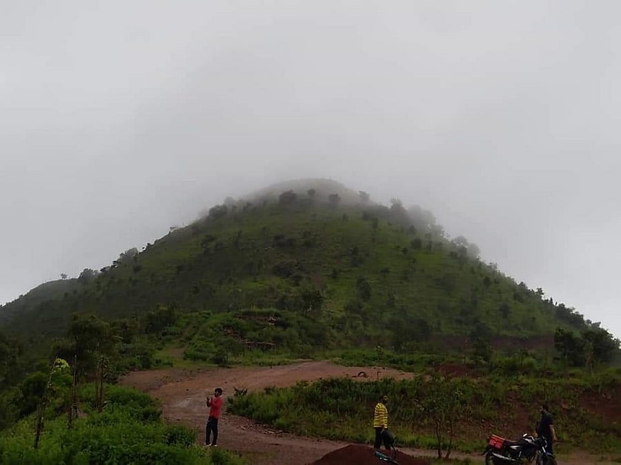 Torrential showers bring back the green cover on Joaladarashi Gudda, a hillock which lies in the mineral-rich Ballari-Hosapete-Sandur sector, near Hosapete. DH PHOTO
