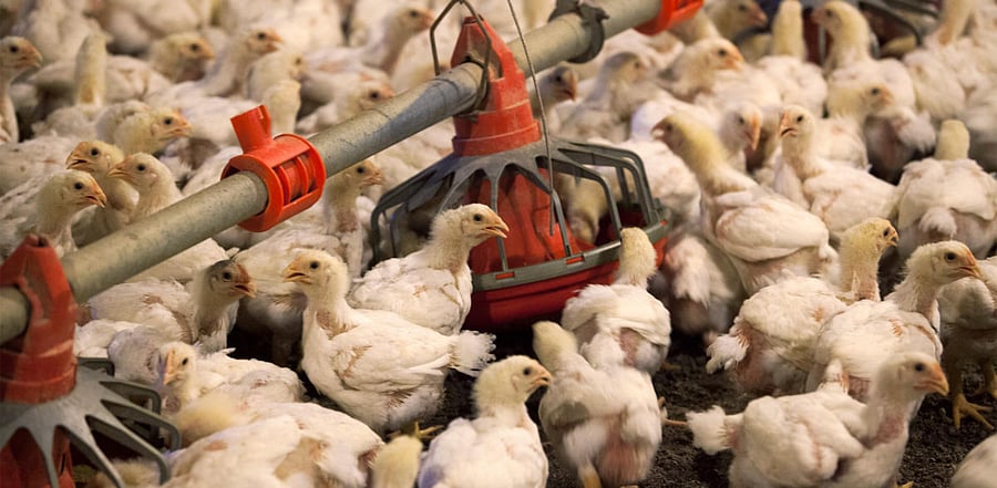 Representative Image. Credit: Reuters Photo