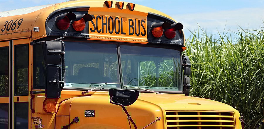 Representative Image. Credit: Pixabay Photo