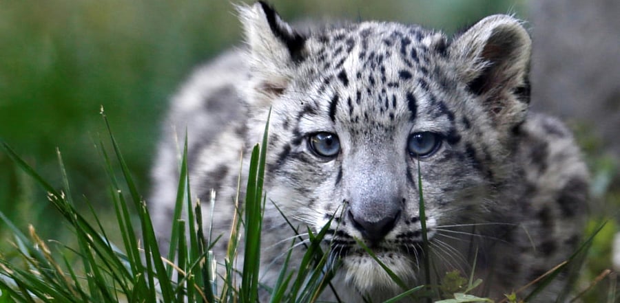 Representative Image. Credit: Reuters Photo