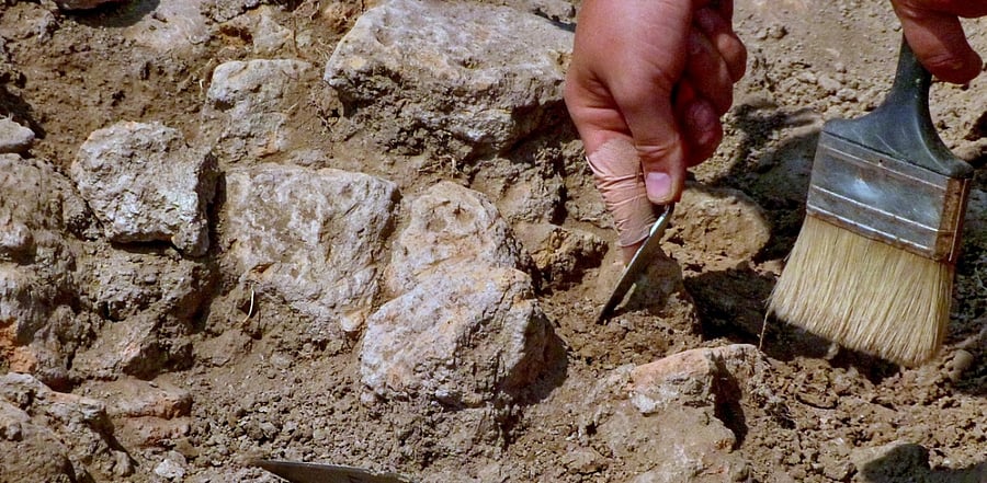 Representative Image. Credit: iStock Photo