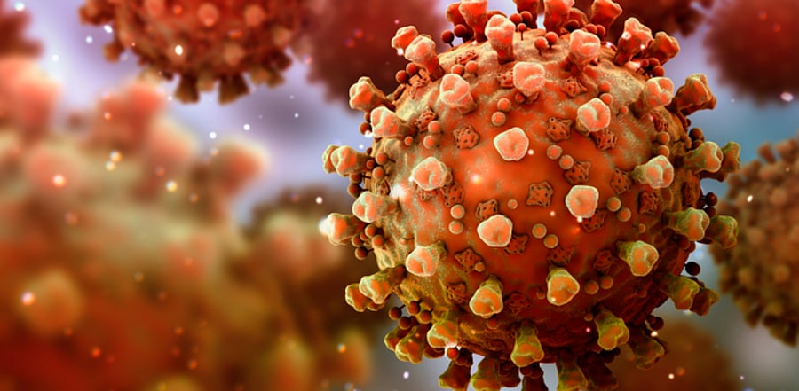 Coronaviruses. Credit: iStock