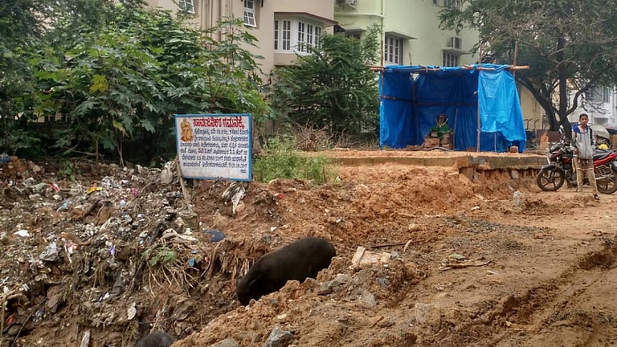 Representative image. Credits: DH Photo