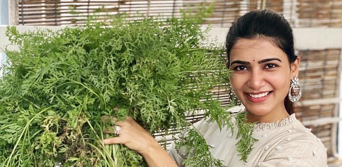 Tollywood actress Samantha Akkineni. Credit: Twitter/samanthaprabhu2