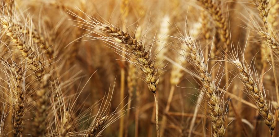 Representative image: iStock Photo