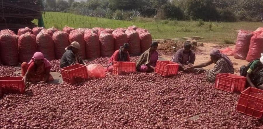 Representative image: DH Photo