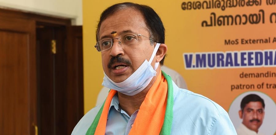 Union Minister of State for External Affairs V Muraleedharan. Credit: PTI