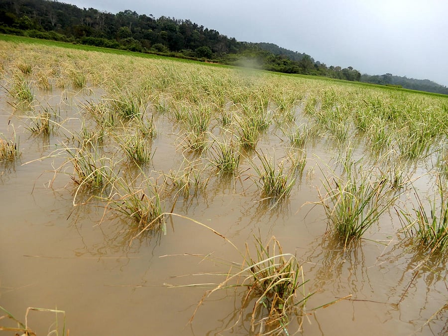 In his lifetime, it was his prerogative to decide who should use his photograph, Pawar said.