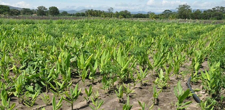 Representative Image. Credit: File Photo