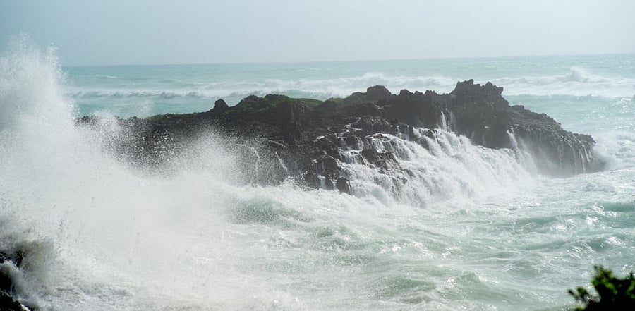 In a world with no human-caused warming, a large marine heat wave would have had about a 0.1 per cent chance of occurring in any given year — what is called a thousand-year event. But with the current rate of global warming, an ocean heat wave like that could soon have as much as a 10 per cent chance of occurring, the study found. Credit: Reuters