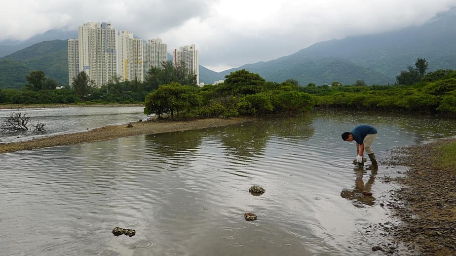 Climate activist Lance Lau, 11, picks up trash at San Tau Beach during a climate strike and a beach clean-up on Lantau island in Hong Kong. Credit: Reuters.
