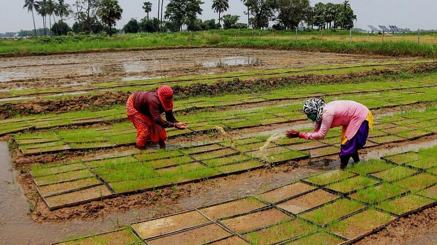 Representative image. Credit: PTI.
