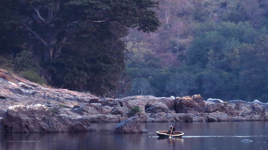 Representative image