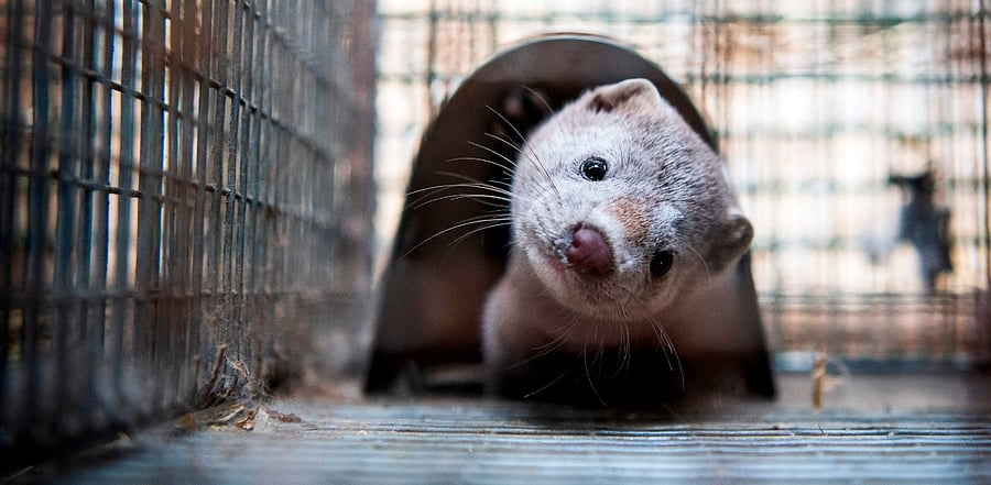 Representative Image. Credit: AFP Photo