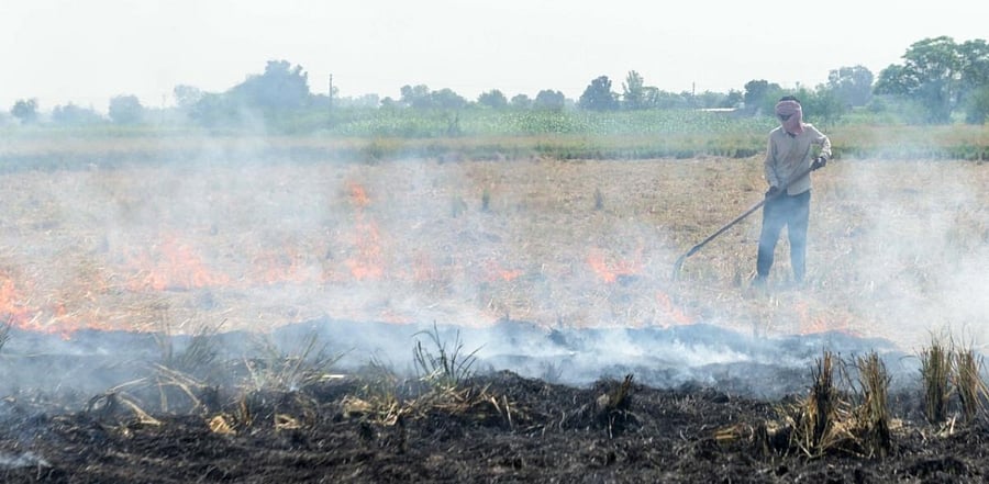 Representative Image. Credit: AFP Photo