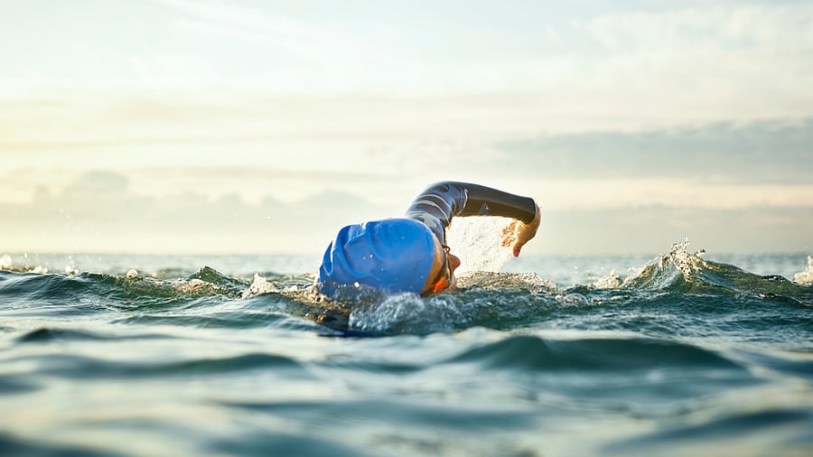 <div class="paragraphs"><p>Representative image for swimming.</p></div>