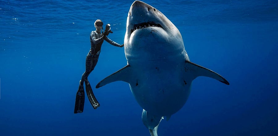 Representative Image. Credit: Reuters Photo