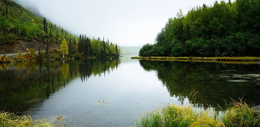 Representative Image. Credit: Pixabay Image